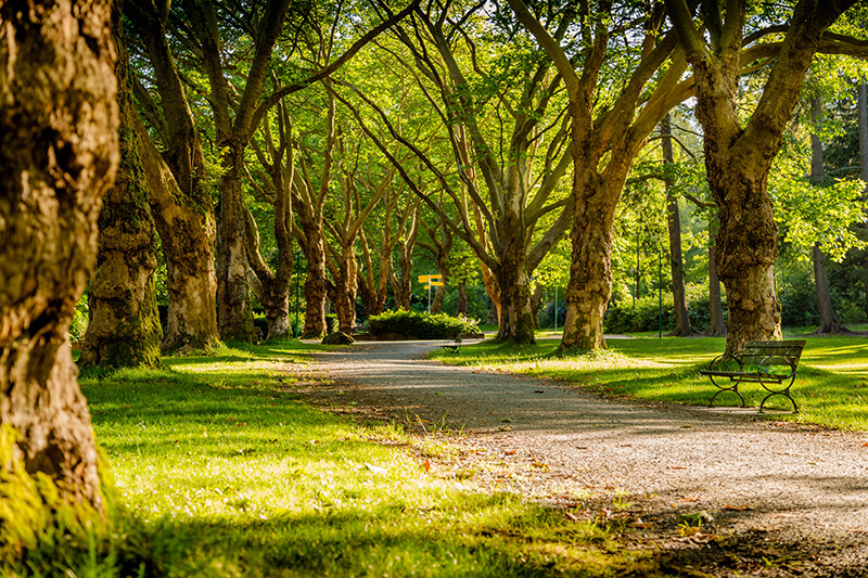 Les parcs et parcours sportifs